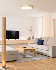 ODELIC �����ǥ�å� ������󥰥饤�� OL291506GR �̿�3