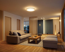 ODELIC �����ǥ�å� ������󥰥饤�� OL291506GR �̿�4