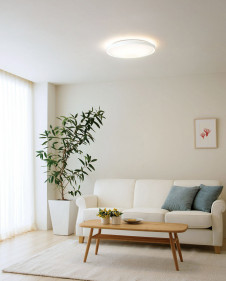 ODELIC �����ǥ�å� ������󥰥饤�� OL291553GR �̿�2