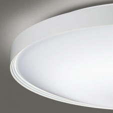 ODELIC �����ǥ�å� ������󥰥饤�� OL291553GR �̿�3