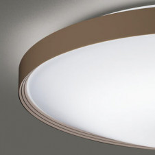 ODELIC �����ǥ�å� ������󥰥饤�� OL291562GR �̿�2