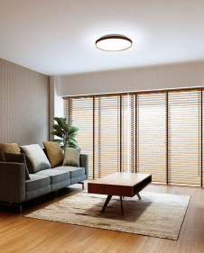 ODELIC �����ǥ�å� ������󥰥饤�� OL291562GR �̿�3