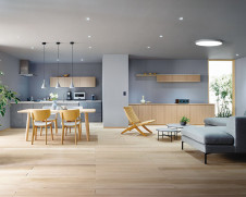 ODELIC �����ǥ�å� ������󥰥饤�� OL291685BR �̿�2