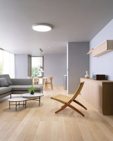 ODELIC �����ǥ�å� ������󥰥饤�� OL291687BR �̿�3