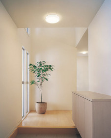 ODELIC �����ǥ�å� ����������󥰥饤�� OL291695NR �̿�1