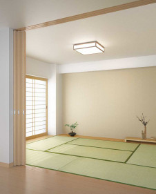 ODELIC �����ǥ�å� ����������󥰥饤�� OL291698NR �̿�1