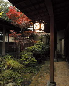 ODELIC �����ǥ�å� �������ƥꥢ�饤�� OP035403NR �̿�1