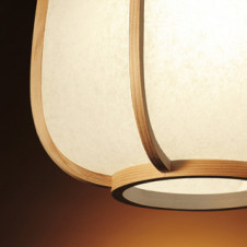 ODELIC �����ǥ�å� �����ڥ����ȥ饤�� OP050100NR �̿�1