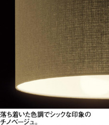 ODELIC �����ǥ�å� �ڥ����ȥ饤�� OP252291NR �̿�1