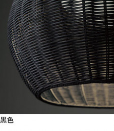 ODELIC �����ǥ�å� �ڥ����ȥ饤�� OP252889NR �̿�2