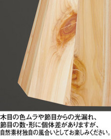 ODELIC �����ǥ�å� �ڥ����ȥ饤�� OP252939NR �̿�1