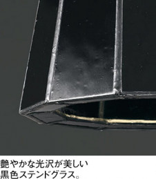 ODELIC �����ǥ�å� �ڥ����ȥ饤�� OP252980NR �̿�2