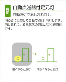 ����� | DAIKO ����ŵ� ��ư���Ǵ���­���� DBK-38344YE
