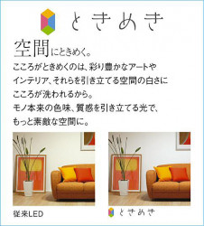 ����� | DAIKO ����ŵ� �֥饱�å� DBK-40424A