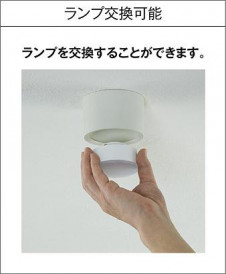 CM_LE_547.JPG | DAIKO ����ŵ� ����������� DCL-5583WW