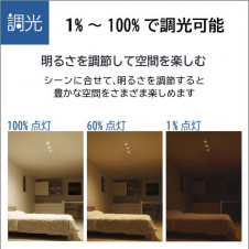 ����� | DAIKO ����ŵ� ������饤�� DDL-5667WWG