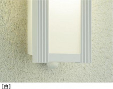 ���ͼ̿� | DAIKO ����ŵ� �����ȥɥ��饤�� DWP-41163Y