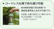 ����� | DAIKO ����ŵ� �����ȥɥ�������� DWP-41467R