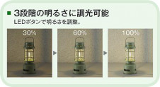 ����� | DAIKO ����ŵ� �����ȥɥ�������� DWP-41467R