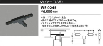 β Koizumi ߾ 祤ʡ(ѡ WE0245