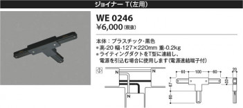 β Koizumi ߾ 祤ʡ(ѡ WE0246