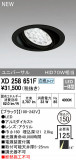ODELIC ǥå 饤 XD258651FþʾҲþ̿䡦ƥꥢΡڥ饤ȥ