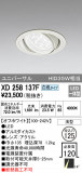 ODELIC ǥå 饤 XD258137FþʾҲþ̿䡦ƥꥢΡڥ饤ȥ