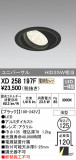 ODELIC ǥå 饤 XD258197FþʾҲþ̿䡦ƥꥢΡڥ饤ȥ