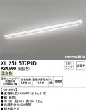 ODELIC ǥå ١饤 XL251537P1DþʾҲþ̿䡦ƥꥢΡڥ饤ȥ