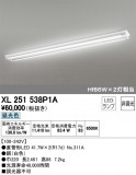 ODELIC ǥå ١饤 XL251538P1AþʾҲþ̿䡦ƥꥢΡڥ饤ȥ
