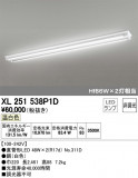 ODELIC ǥå ١饤 XL251538P1DþʾҲþ̿䡦ƥꥢΡڥ饤ȥ