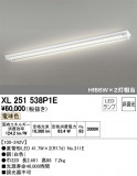 ODELIC ǥå ١饤 XL251538P1EþʾҲþ̿䡦ƥꥢΡڥ饤ȥ