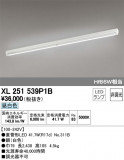 ODELIC ǥå ١饤 XL251539P1BþʾҲþ̿䡦ƥꥢΡڥ饤ȥ