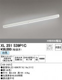 ODELIC ǥå ١饤 XL251539P1CþʾҲþ̿䡦ƥꥢΡڥ饤ȥ
