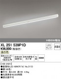 ODELIC ǥå ١饤 XL251539P1DþʾҲþ̿䡦ƥꥢΡڥ饤ȥ