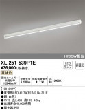 ODELIC ǥå ١饤 XL251539P1EþʾҲþ̿䡦ƥꥢΡڥ饤ȥ