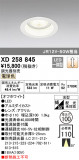 ODELIC ǥå 饤 XD258845þʾҲþ̿䡦ƥꥢΡڥ饤ȥ