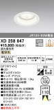 ODELIC ǥå 饤 XD258847þʾҲþ̿䡦ƥꥢΡڥ饤ȥ