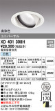 ODELIC ǥå 饤 XD401308HþʾҲþ̿䡦ƥꥢΡڥ饤ȥ