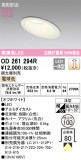 ODELIC ǥå 饤 OD261294RþʾҲþ̿䡦ƥꥢΡڥ饤ȥ