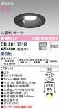 ODELIC ǥå 饤 OD261751RþʾҲþ̿䡦ƥꥢΡڥ饤ȥ