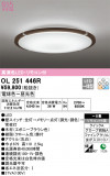 ODELIC ǥå 󥰥饤 OL251446RþʾҲþ̿䡦ƥꥢΡڥ饤ȥ