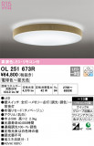 ODELIC ǥå 󥰥饤 OL251673RþʾҲþ̿䡦ƥꥢΡڥ饤ȥ