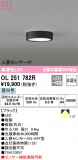 ODELIC ǥå 󥰥饤 OL251782RþʾҲþ̿䡦ƥꥢΡڥ饤ȥ
