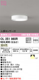 ODELIC ǥå 󥰥饤 OL251860RþʾҲþ̿䡦ƥꥢΡڥ饤ȥ