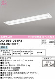 ODELIC ǥå ١饤 XD566091R1þʾҲþ̿䡦ƥꥢΡڥ饤ȥ