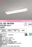 ODELIC ǥå ١饤 XL501001R3AþʾҲþ̿䡦ƥꥢΡڥ饤ȥ