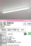 ODELIC ǥå ١饤 XL501002R1DþʾҲþ̿䡦ƥꥢΡڥ饤ȥ