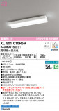 ODELIC ǥå ١饤 XL501010R5MþʾҲþ̿䡦ƥꥢΡڥ饤ȥ