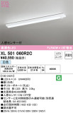 ODELIC ǥå ١饤 XL501060R2CþʾҲþ̿䡦ƥꥢΡڥ饤ȥ